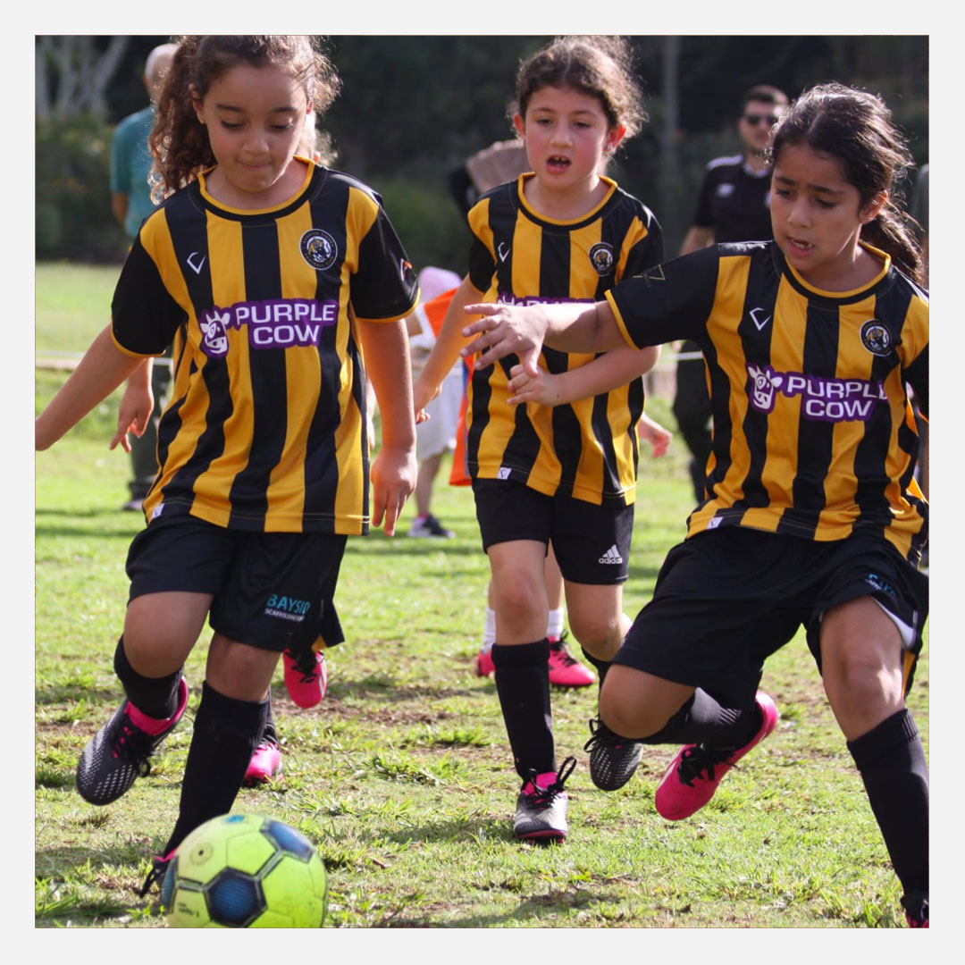 Banksia Tigers